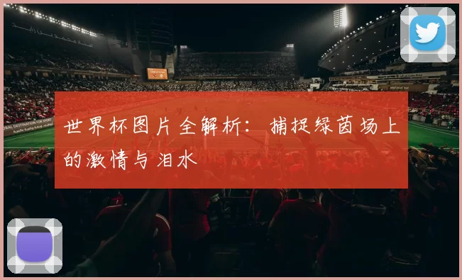 世界杯图片全解析:捕捉绿茵场上的激情与泪水
