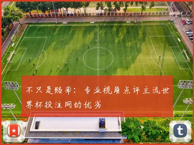 不只是赔率:专业视角点评主流世界杯投注网的优劣