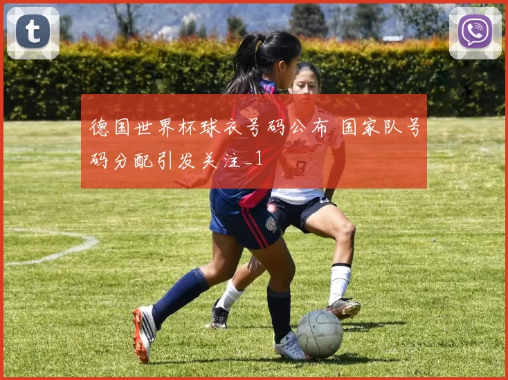 德国世界杯球衣号码公布 国家队号码分配引发关注_1