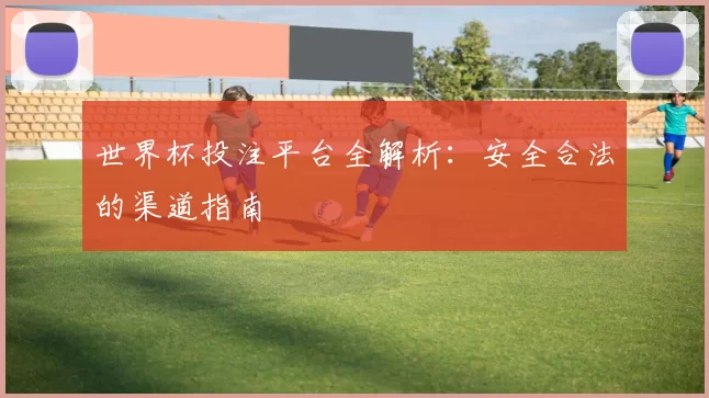 世界杯投注平台全解析：安全合法的渠道指南