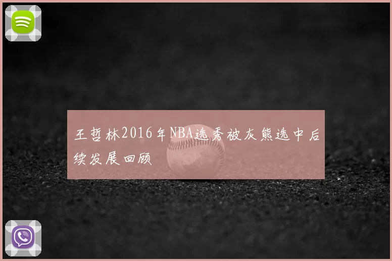 王哲林2016年NBA选秀被灰熊选中后续发展回顾