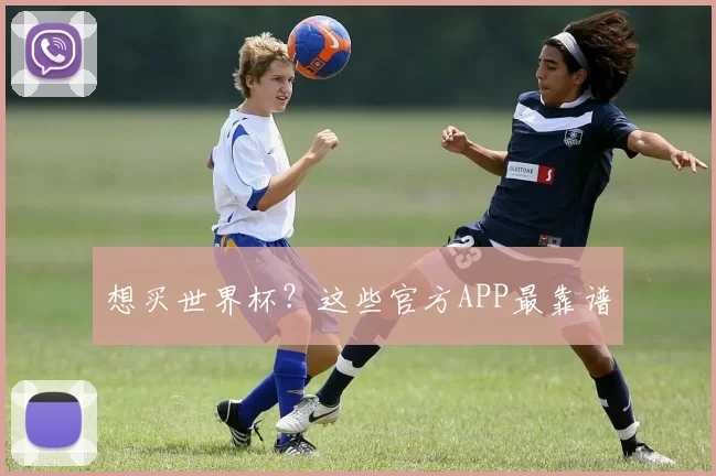 想买世界杯？这些官方APP最靠谱