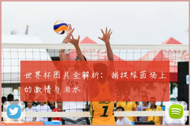 世界杯图片全解析：捕捉绿茵场上的激情与泪水