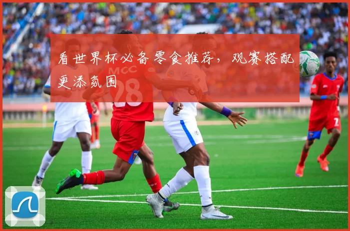 看世界杯必备零食推荐,观赛搭配更添氛围
