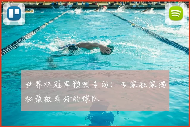 世界杯冠军预测专访:专家独家揭秘最被看好的球队