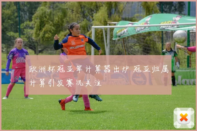 欧洲杯冠亚军计算器出炉 冠亚归属计算引发赛况关注