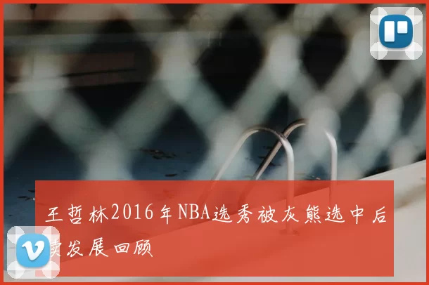 王哲林2016年NBA选秀被灰熊选中后续发展回顾